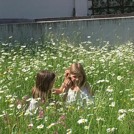 Farm stay Scharfetthof *