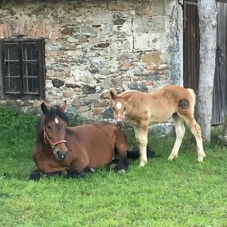 Scharfetthof Farm stay