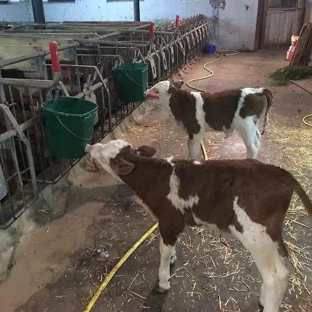 Scharfetthof Flachau