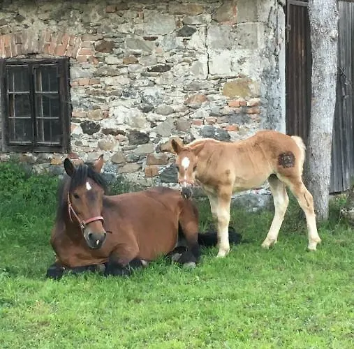 Scharfetthof Séjour à la ferme