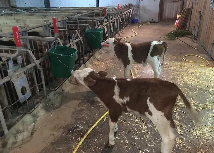 Scharfetthof Flachau