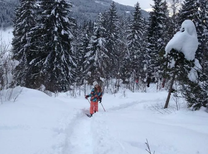 Scharfetthof Flachau