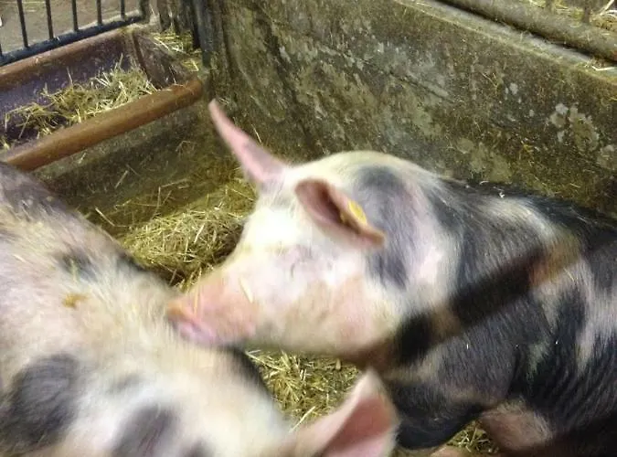 Séjour à la ferme Scharfetthof
