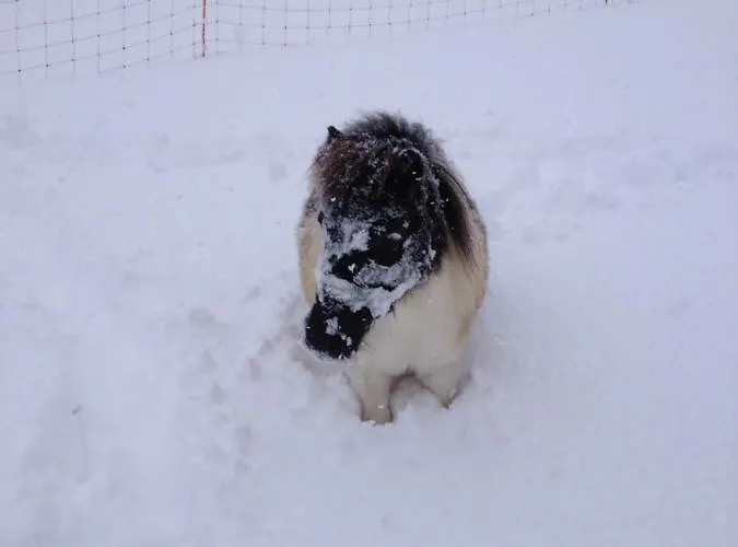 Séjour à la ferme Scharfetthof *