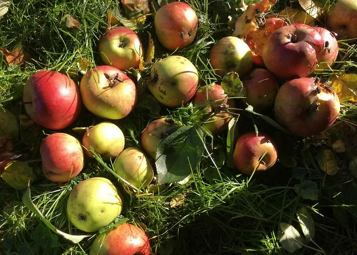 Scharfetthof Séjour à la ferme *